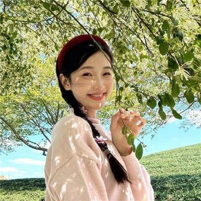 齐木楠雄的灾难第一季